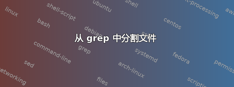 从 grep 中分割文件