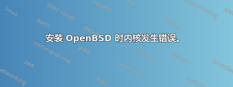 安装 OpenBSD 时内核发生错误。