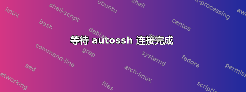 等待 autossh 连接完成