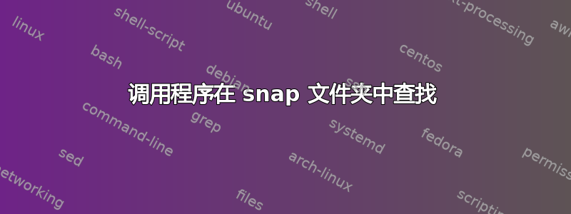 调用程序在 snap 文件夹中查找