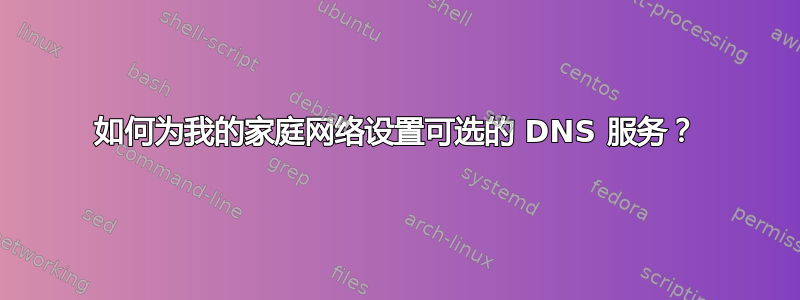 如何为我的家庭网络设置可选的 DNS 服务？