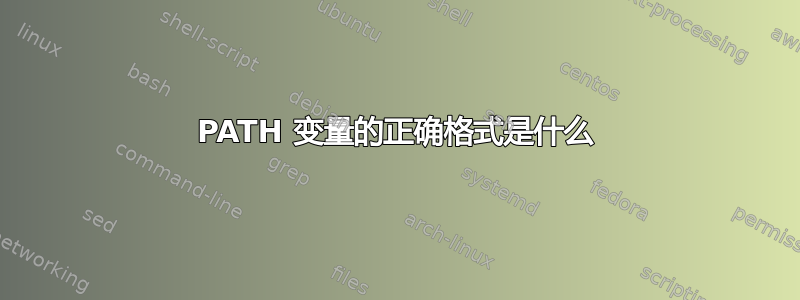 PATH 变量的正确格式是什么