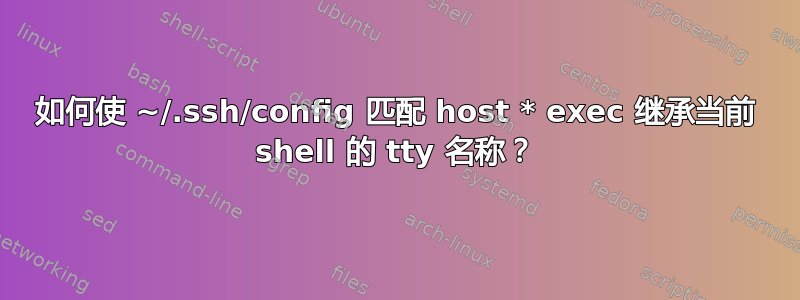 如何使 ~/.ssh/config 匹配 host * exec 继承当前 shell 的 tty 名称？