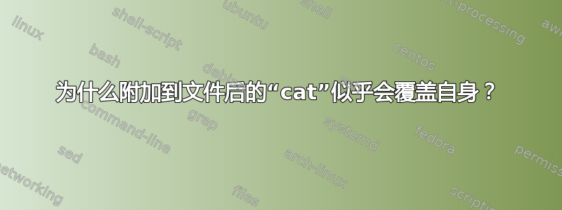 为什么附加到文件后的“cat”似乎会覆盖自身？