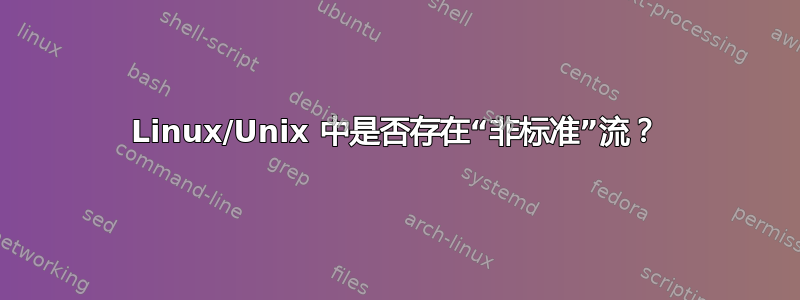Linux/Unix 中是否存在“非标准”流？