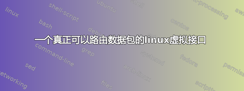 一个真正可以路由数据包的linux虚拟接口