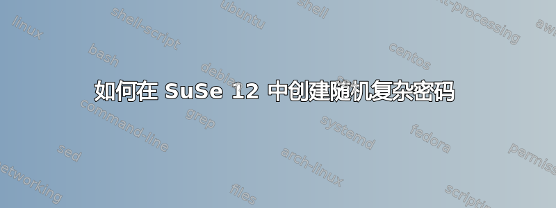 如何在 SuSe 12 中创建随机复杂密码