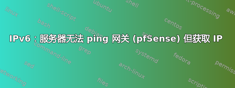 IPv6：服务器无法 ping 网关 (pfSense) 但获取 IP