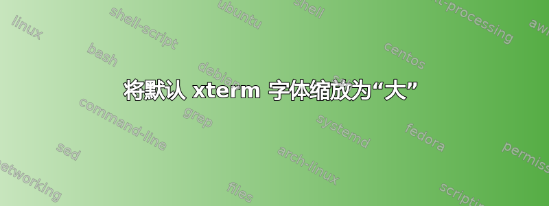 将默认 xterm 字体缩放为“大”