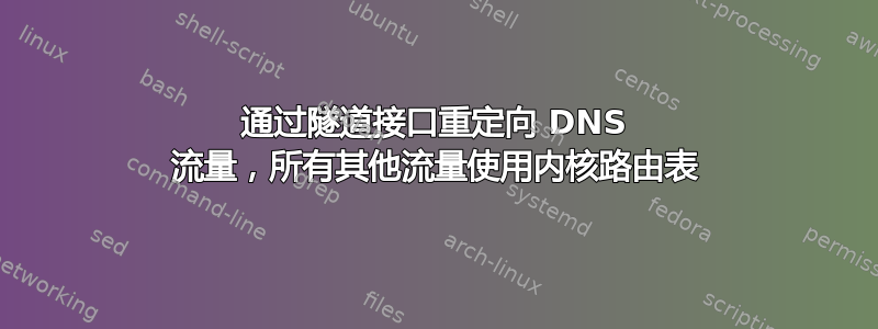 通过隧道接口重定向 DNS 流量，所有其他流量使用内核路由表