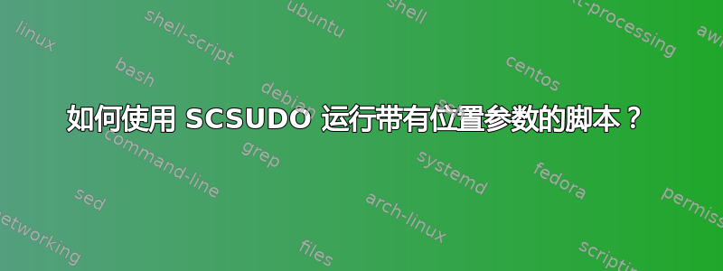 如何使用 SCSUDO 运行带有位置参数的脚本？