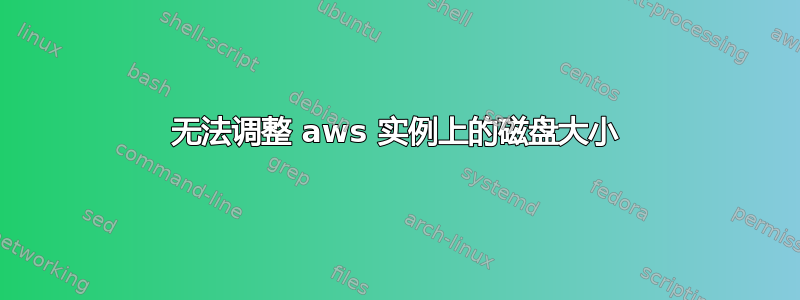 无法调整 aws 实例上的磁盘大小