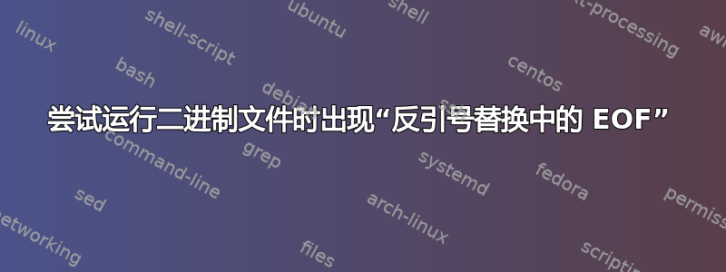 尝试运行二进制文件时出现“反引号替换中的 EOF”