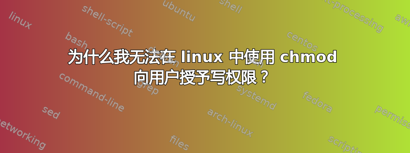 为什么我无法在 linux 中使用 chmod 向用户授予写权限？