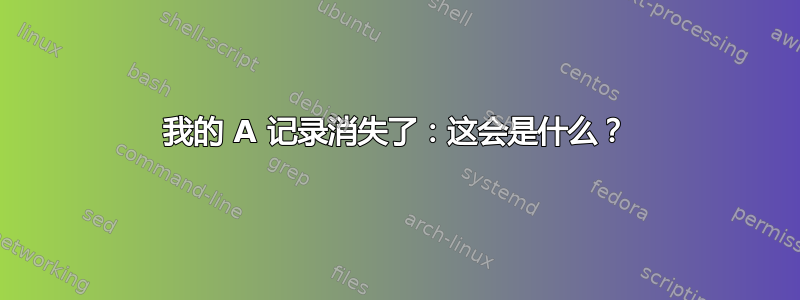 我的 A 记录消失了：这会是什么？