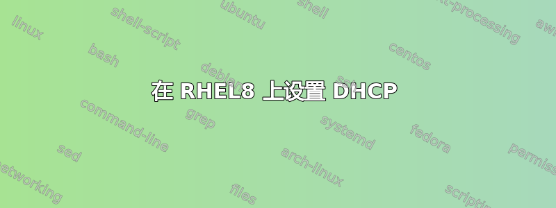 在 RHEL8 上设置 DHCP