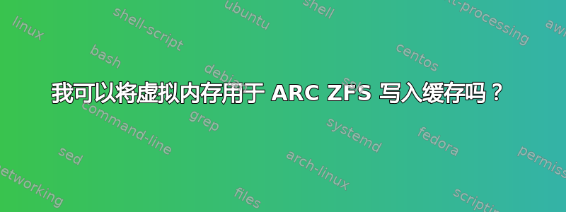 我可以将虚拟内存用于 ARC ZFS 写入缓存吗？