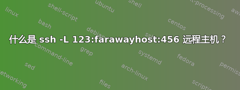 什么是 ssh -L 123:farawayhost:456 远程主机？