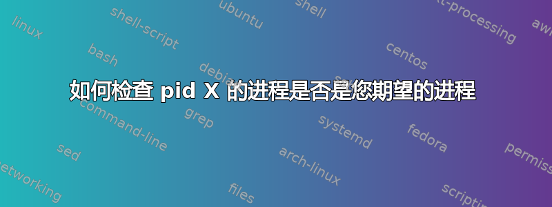 如何检查 pid X 的进程是否是您期望的进程