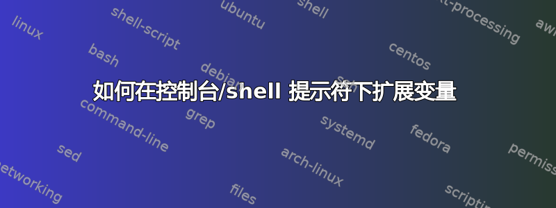 如何在控制台/shell 提示符下扩展变量