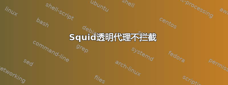 Squid透明代理不拦截