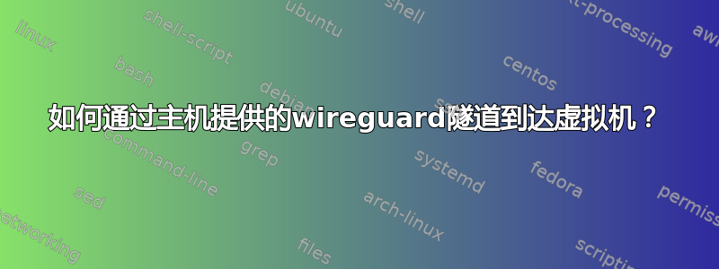 如何通过主机提供的wireguard隧道到达虚拟机？