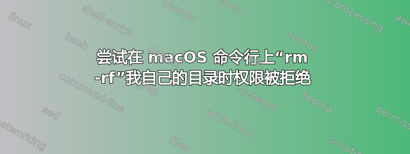 尝试在 macOS 命令行上“rm -rf”我自己的目录时权限被拒绝