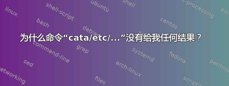 为什么命令“cata/etc/...”没有给我任何结果？ 