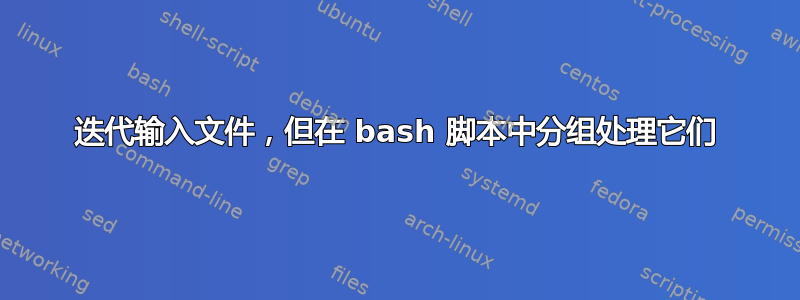 迭代输入文件，但在 bash 脚本中分组处理它们