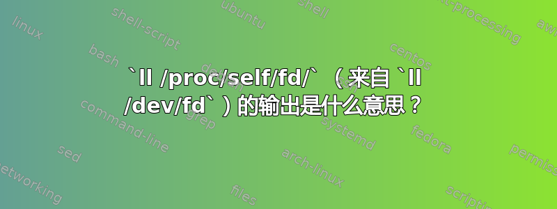 `ll /proc/self/fd/` （来自 `ll /dev/fd`）的输出是什么意思？