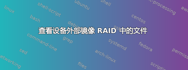 查看设备外部镜像 RAID 中的文件