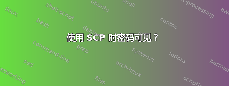 使用 SCP 时密码可见？