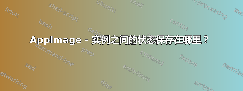 AppImage - 实例之间的状态保存在哪里？