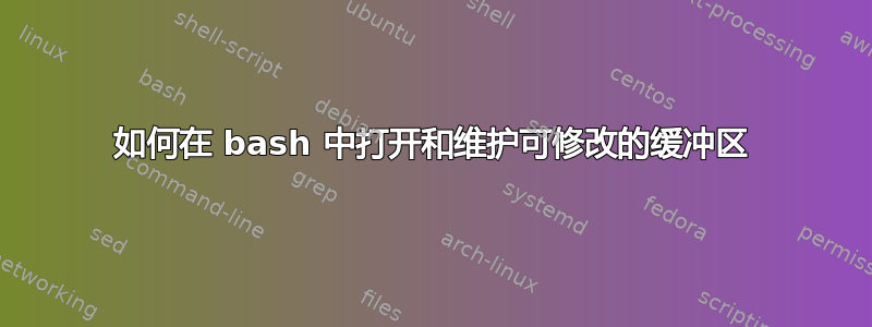 如何在 bash 中打开和维护可修改的缓冲区