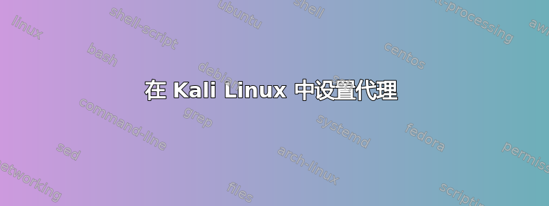 在 Kali Linux 中设置代理