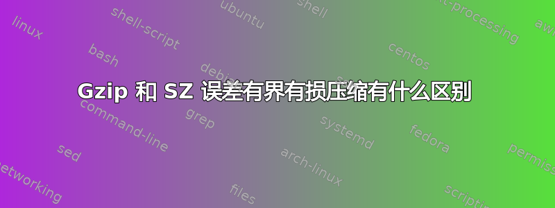 Gzip 和 SZ 误差有界有损压缩有什么区别