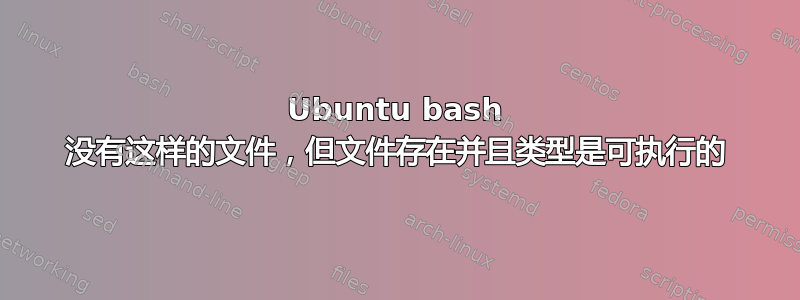 Ubuntu bash 没有这样的文件，但文件存在并且类型是可执行的