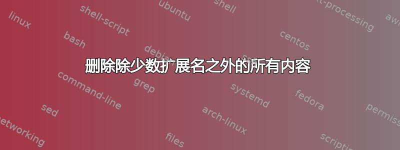 删除除少数扩展名之外的所有内容