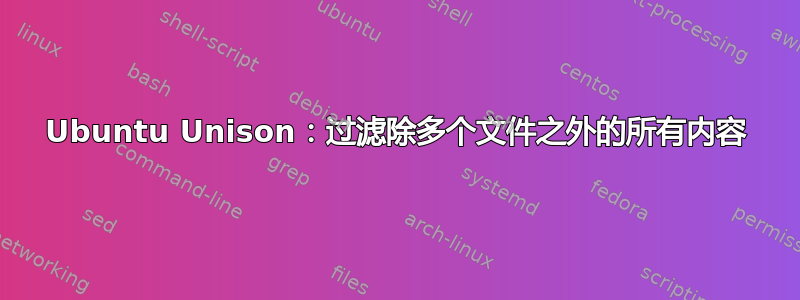 Ubuntu Unison：过滤除多个文件之外的所有内容