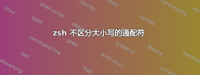 zsh 不区分大小写的通配符