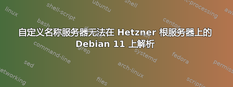 自定义名称服务器无法在 Hetzner 根服务器上的 Debian 11 上解析