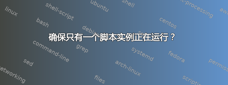 确保只有一个脚本实例正在运行？