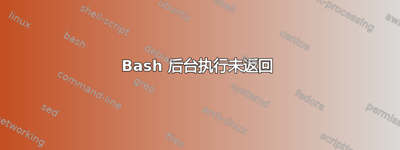 Bash 后台执行未返回