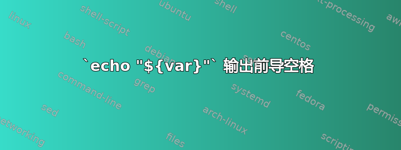 `echo "${var}"` 输出前导空格