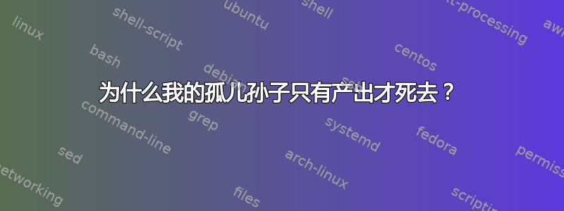 为什么我的孤儿孙子只有产出才死去？