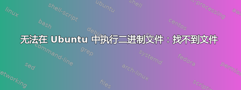 无法在 Ubuntu 中执行二进制文件：找不到文件