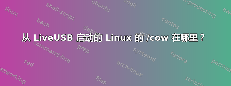 从 LiveUSB 启动的 Linux 的 /cow 在哪里？