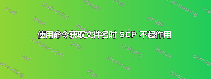 使用命令获取文件名时 SCP 不起作用