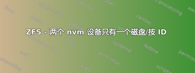 ZFS - 两个 nvm 设备只有一个磁盘/按 ID