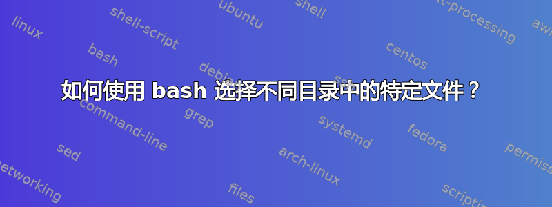 如何使用 bash 选择不同目录中的特定文件？